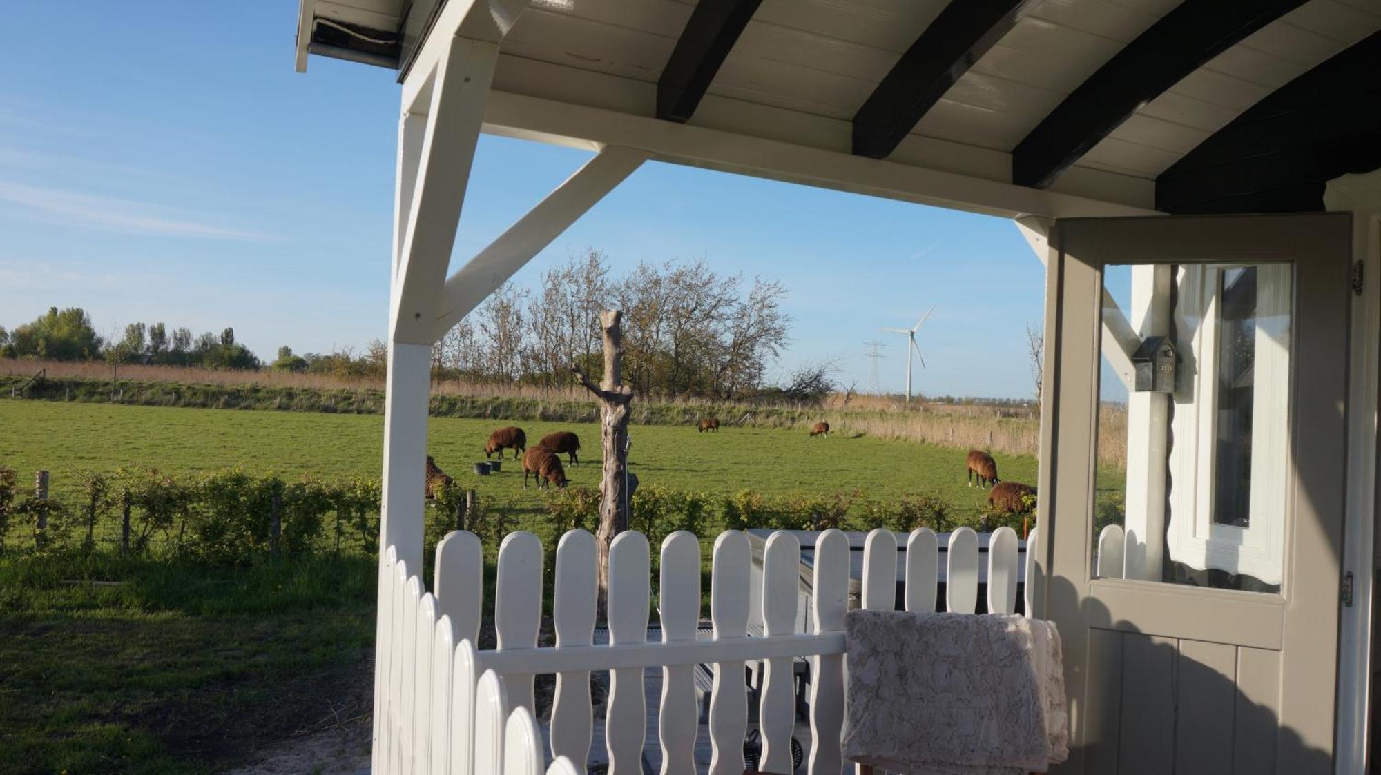 Bed And Breakfast Het Schapenlandje Waarland Εξωτερικό φωτογραφία